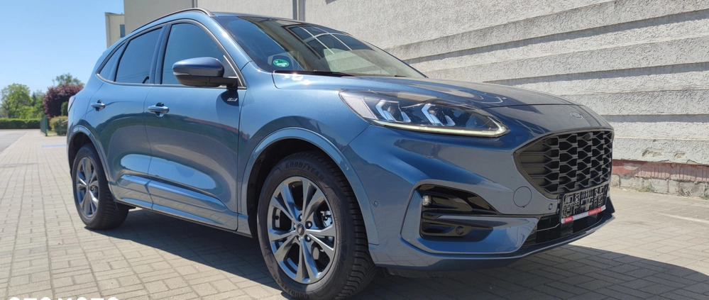 Ford Kuga cena 115900 przebieg: 11125, rok produkcji 2023 z Leszno małe 254